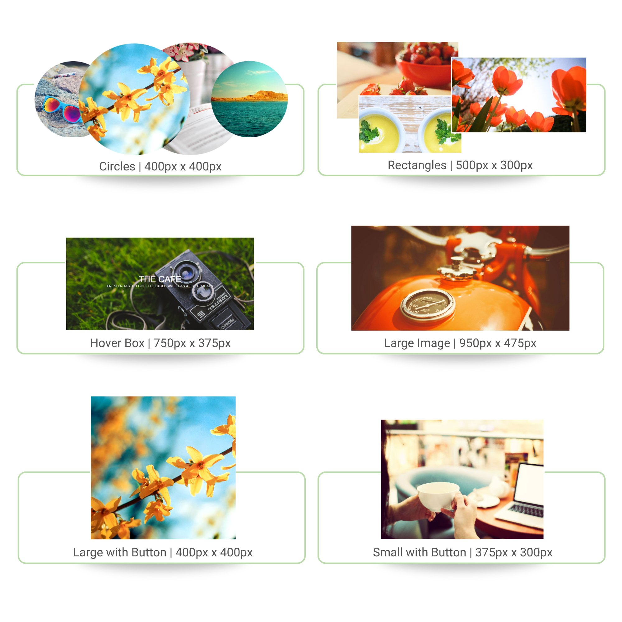 Eleyo Welcome Page Image Sizes (8.5 x 8.5 in).png